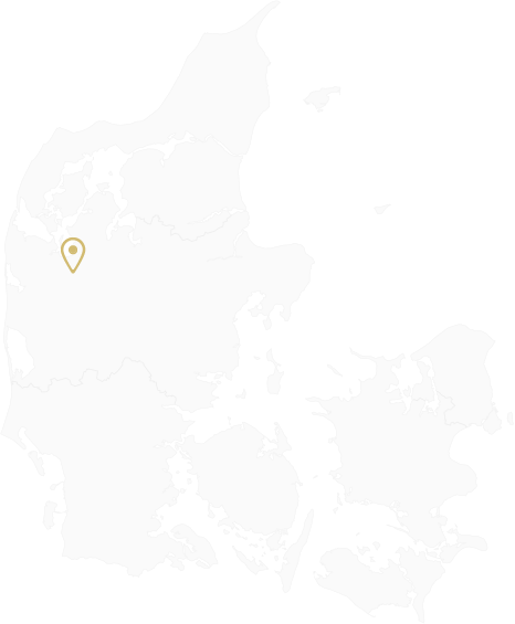danmarkskort